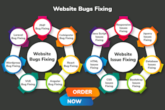 fix bugs or issues of your website