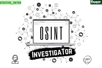 do private investigation, background check, osint investigation and detective