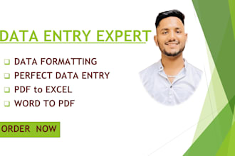 do excel data entry , convert pdf to word and ms word typing etc