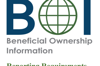 file fincen boi report