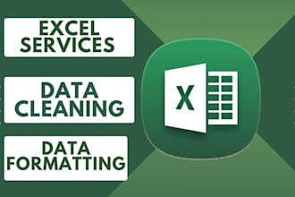 help in microsoft excel data cleaning, spreadsheets expert