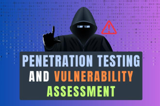 do penetration testing and vulnerability assessment and provide a full report