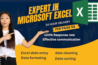 be expert in microsoft excel, google sheets, formula, script