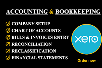 do accounting and bookkeeping using xero