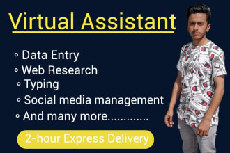 do profession accurate fast excel data entry