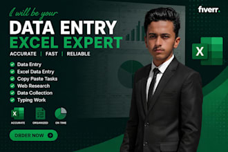 data entry excel expert