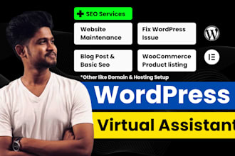 be your wordpress virtual assistant, wordpress SEO, and migration
