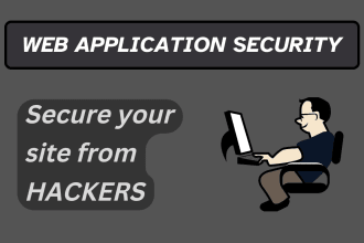 conduct vulnerability assessment and penetration testing