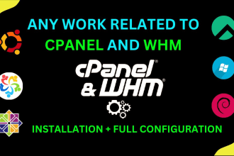 do full setup of whm, cpanel, dns, or whmcs and fix error
