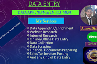do data appending enrichment and data entry
