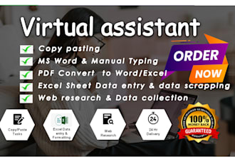 do excel data entry, web research, data cleaning, copypaste