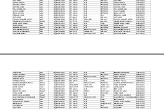 create perfect data entry with accuracy and speed