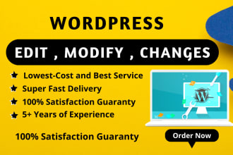 make changes, edit, and  modify  wordpress website in 12 hours
