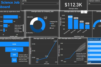 be your data analyst, excel, and power bi dashboard expert
