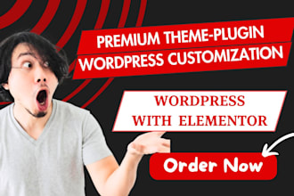 wordpress setup, website customization, install wordpress premium theme plugin