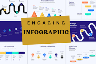 create  professional custom infographics