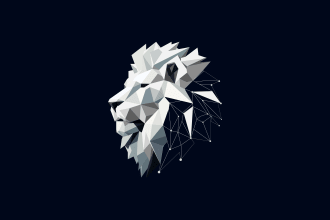 design a premium geometric logo design
