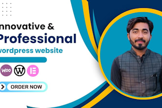 create innovative and professional wordpress website
