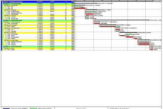 prepare project schedules, wbs and gantt charts using primavera p6