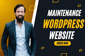 do monthly wordpress website maintenance, support, and updates