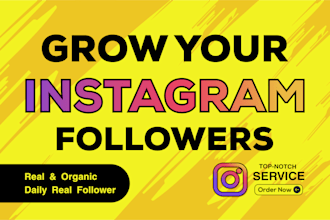 do instagram promotion for organic growth and targeted followers
