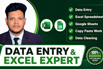 do data entry, excel and google sheets work accurately