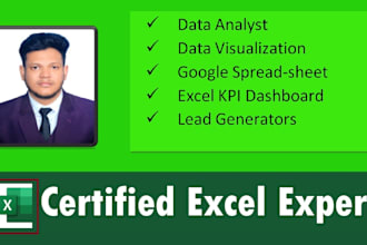 data analyst lead generators and spreadsheet excel expert