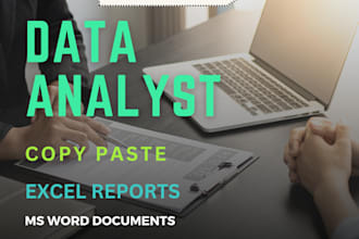 do data entry,excel,ms word
