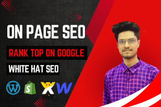 optimize on page SEO for webflow,wordpress,wix,shopify and square space website