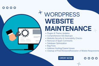 do wordpress maintenance, fix issues, website update