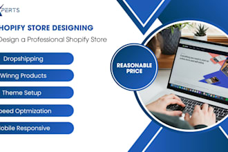 create premium shopify dropshipping store or website