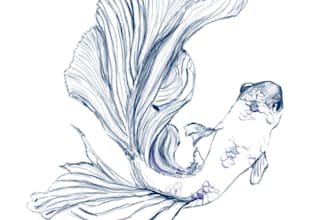 teach you to draw in digital