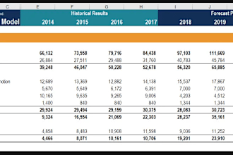 prepare balance sheet forecast and cash flows budget sheet