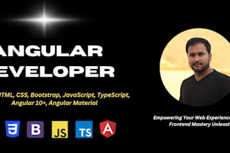 be your angular developer for admin dashboard and web app