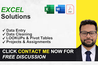 create custom excel sheets with formulas, formatting, functions and graphs