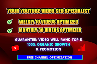 do best organic youtube video SEO