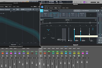professional edm, folk and singer songwriter mastering
