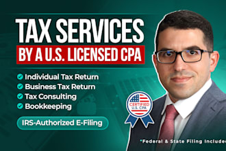 provide CPA tax preparation, filing and consulting