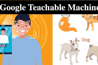 help you in google teachable machine