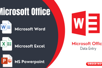 do office work excel formatting, formulas expert, data entry