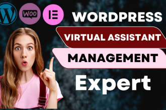 be your wordpress virtual assistant design, website ecommerce store