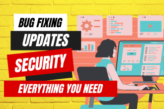 fix wordpress issues and provide support