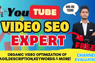 do best youtube video SEO expert optimization