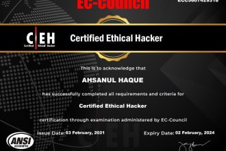 provide penetration testing and vulnerability assessments