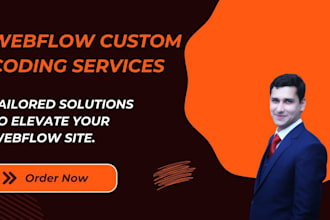 write custom code in webflow and fix webflow issues in your website