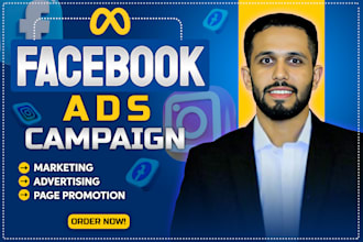 run facebook ads campaign, marketing, advertising and page promotion