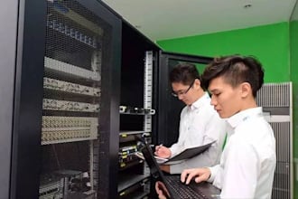 do IT technical support  on site or remotely