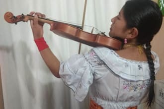 record the violin, bandolín, guitar, charango professionally