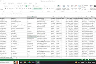 do data entry excel, word, database editing