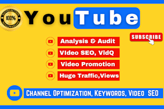 do you tube channel, video SEO, video promotion and increase views by location
